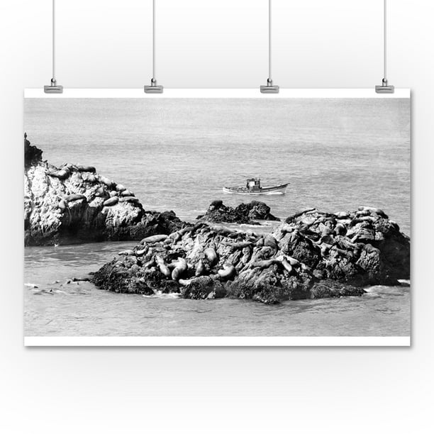 SEAL ROCKS CALIFORNIA COAST LANDSCAPE CANVAS GICLEE POSTER ART PRINT OF PAINTING